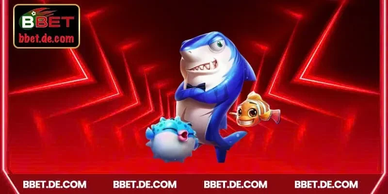 Cập nhật luật săn cá cơ bản