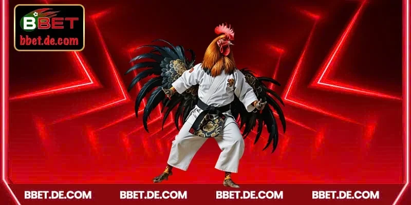 Giới thiệu thông tin về sảnh game đá gà BBET