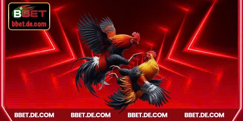 Tìm hiểu AOG đá gà