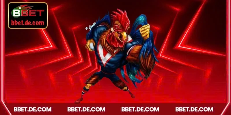 Top các cửa cược đá gà mới nhất