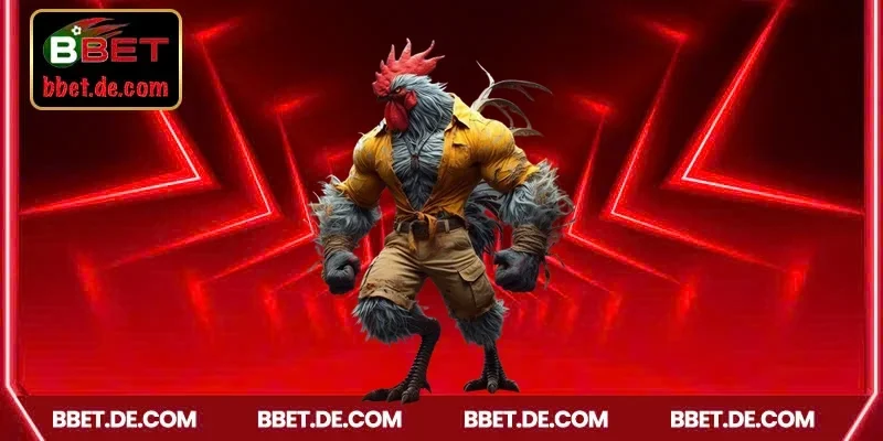 Vì sao bạn nên chọn WS168 đá gà